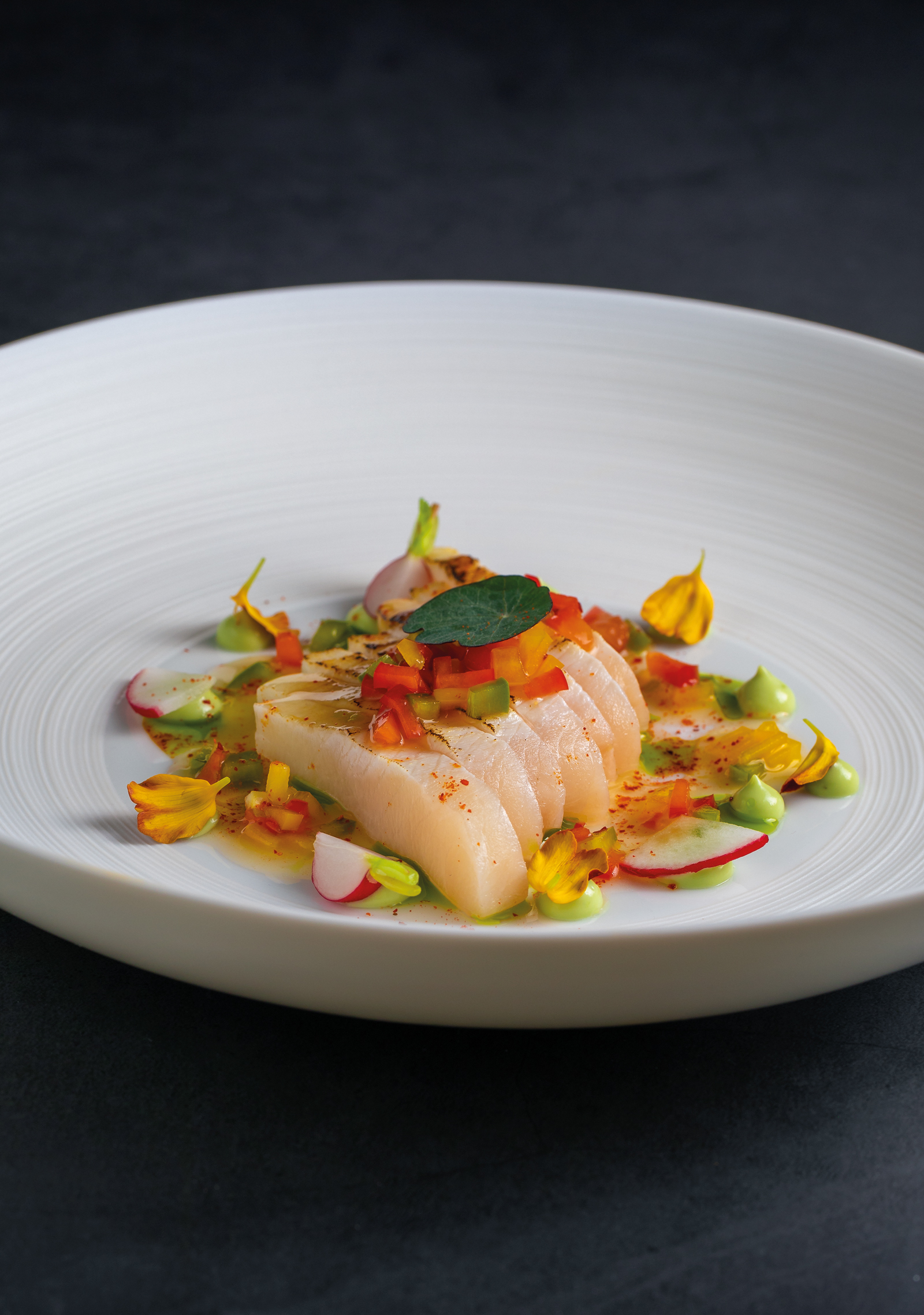 Teller · Hiramasa Kingfish