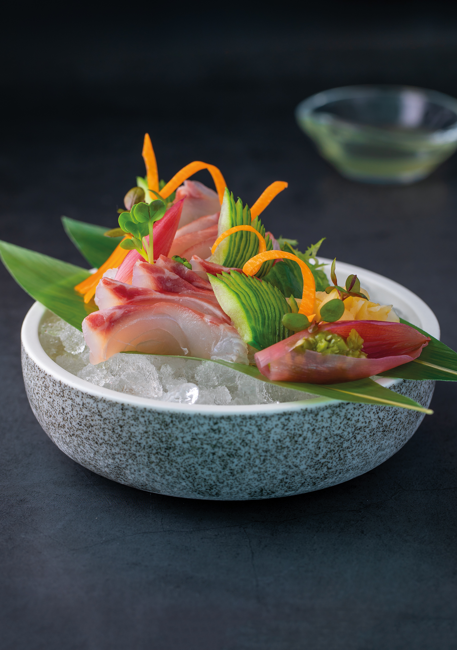 Teller · Japanische Dorade