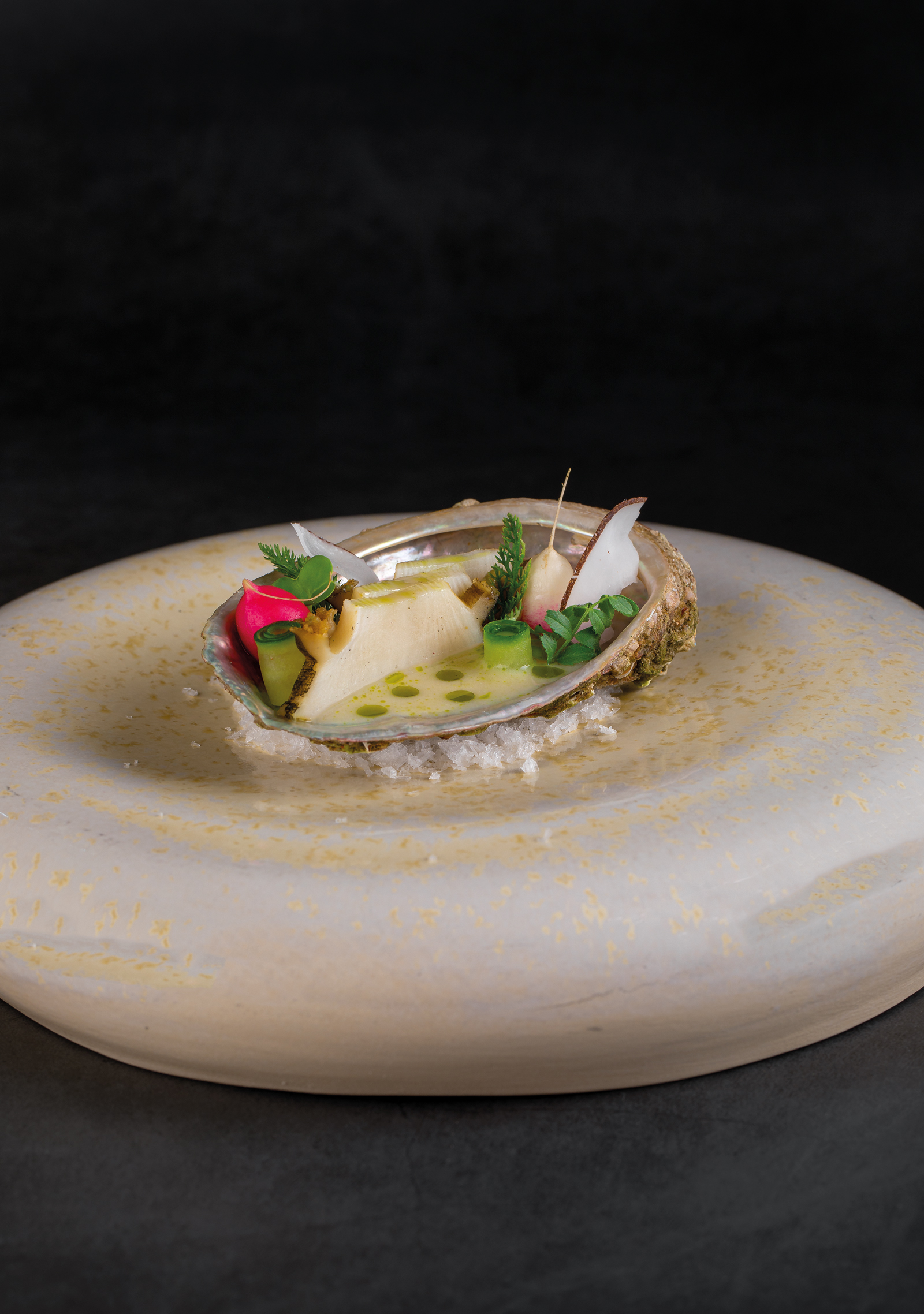 Teller · Abalone