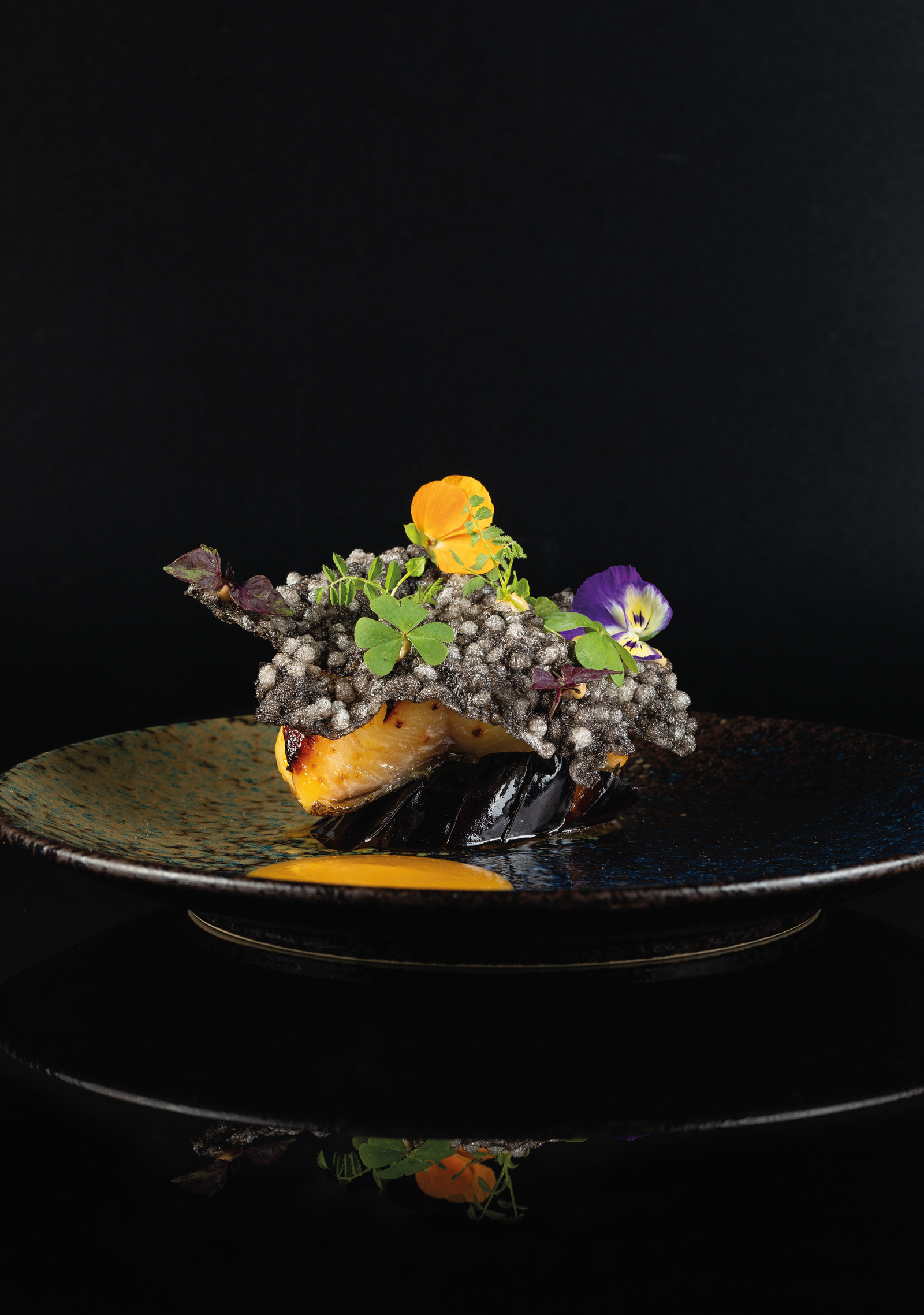 Teller · Black Cod