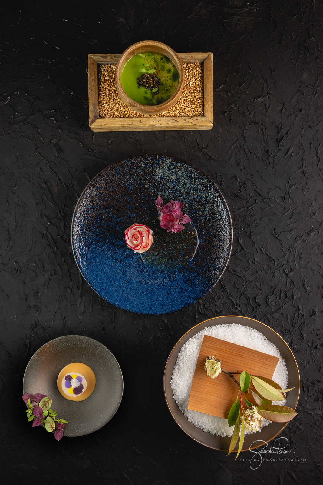 Teller · Japanische Dorade