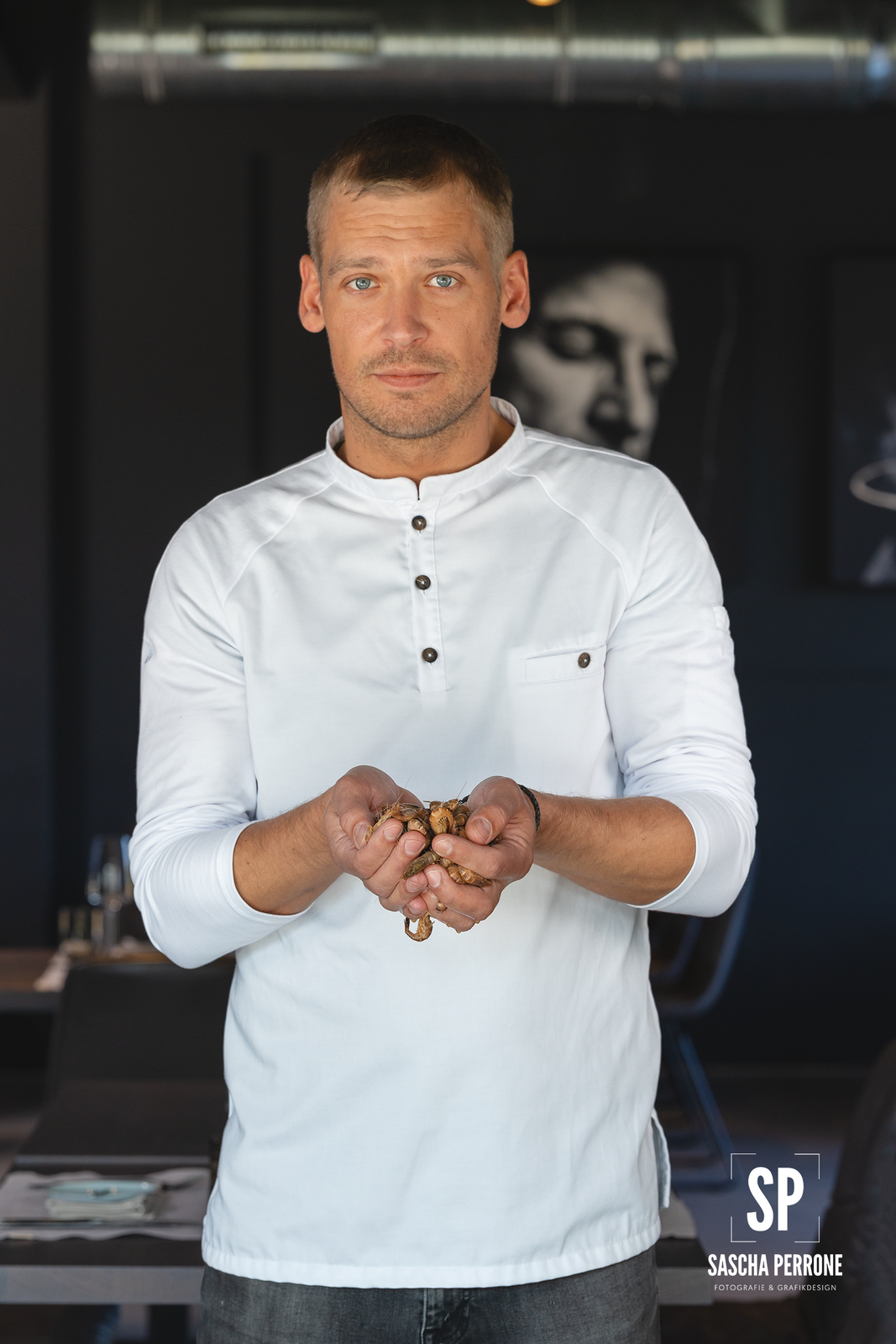 Matthäus Brol